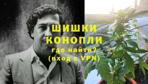 спайс Алзамай