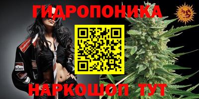 МДПВ Гусев