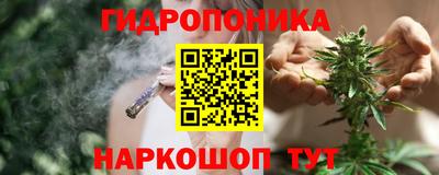 spice Гусь-Хрустальный