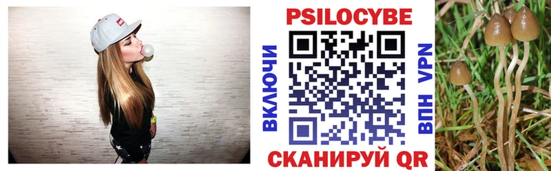 Псилоцибиновые грибы Cubensis магазин Котлас