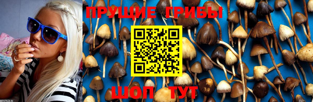 Галлюциногенные грибы прущие грибы  Вход с VPN  Псилоцибиновые грибы GOLDEN TEACHER  Котлас 