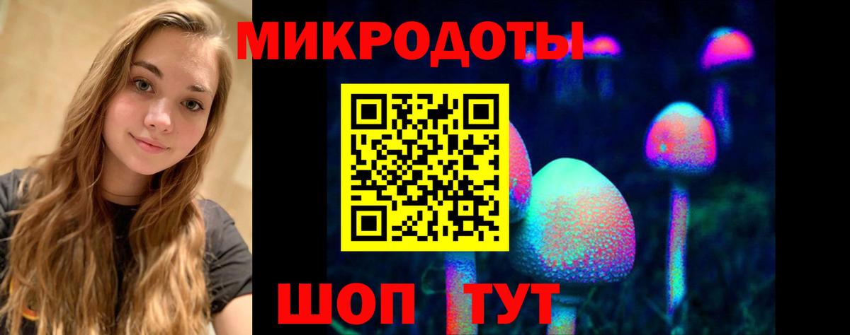 Псилоцибиновые грибы Cubensis Котлас